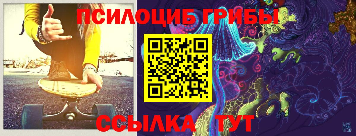 Галлюциногенные грибы Cubensis  Вход с VPN  Псилоцибиновые грибы мухоморы  Губаха 