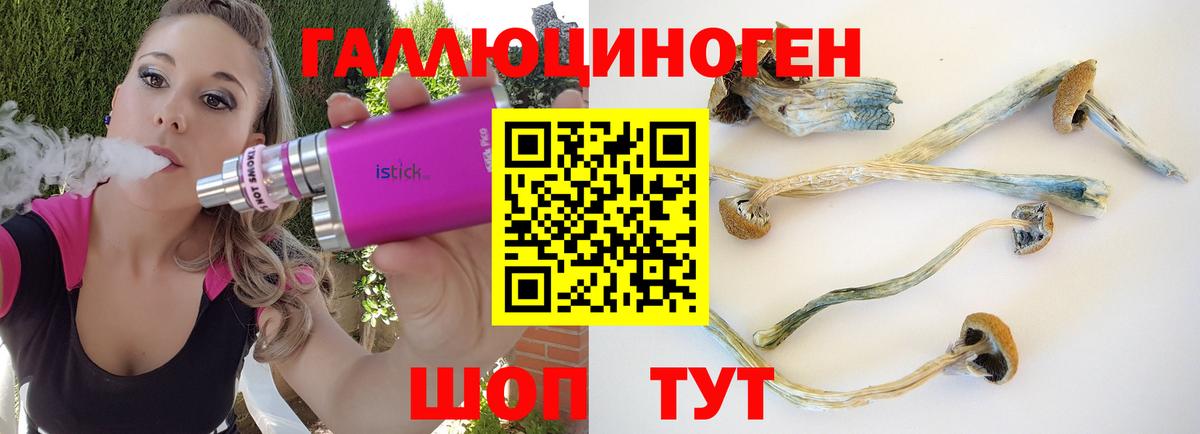 Галлюциногенные грибы Magic Shrooms Губаха